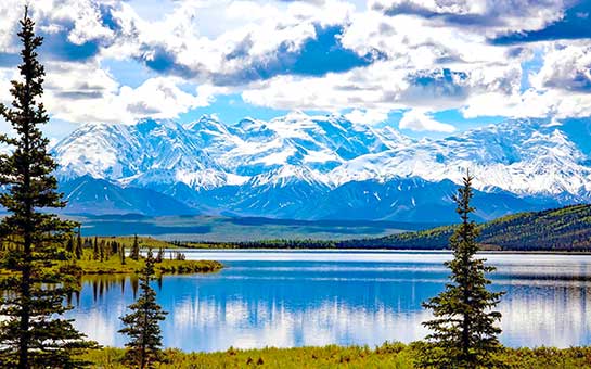 Denali National Park Travel Insurance